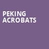 Peking Acrobats, CNU Ferguson Center for the Arts, Newport News